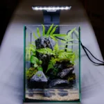 Materiais e equipamentos organizados para montar um aquário pequeno