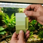 Mãos comparando um tubo de teste de água do aquário com a cartela de cores