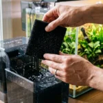 Mãos retirando a esponja de um filtro de mochila, com aquário plantado ao fundo